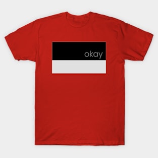 Colorblock Okay T-Shirt